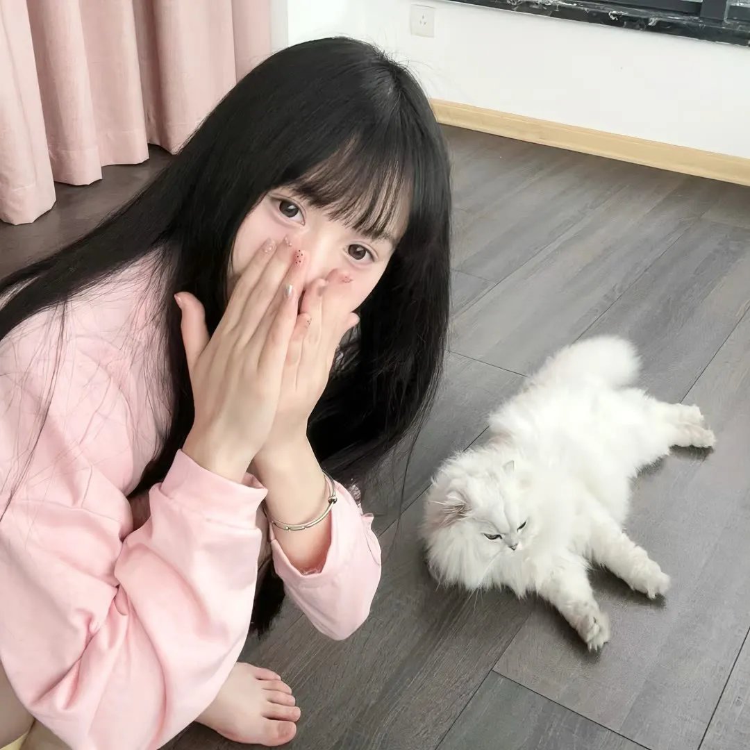 风和日丽