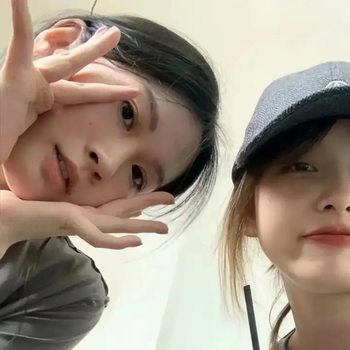 白鸥啊 不要飞起来