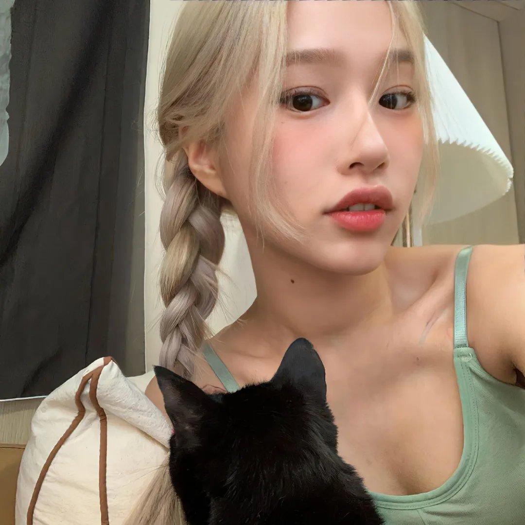 假如猫从世界上消失了